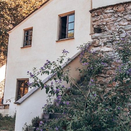 Le Petit Chateau Vezzi Portio Bagian luar foto