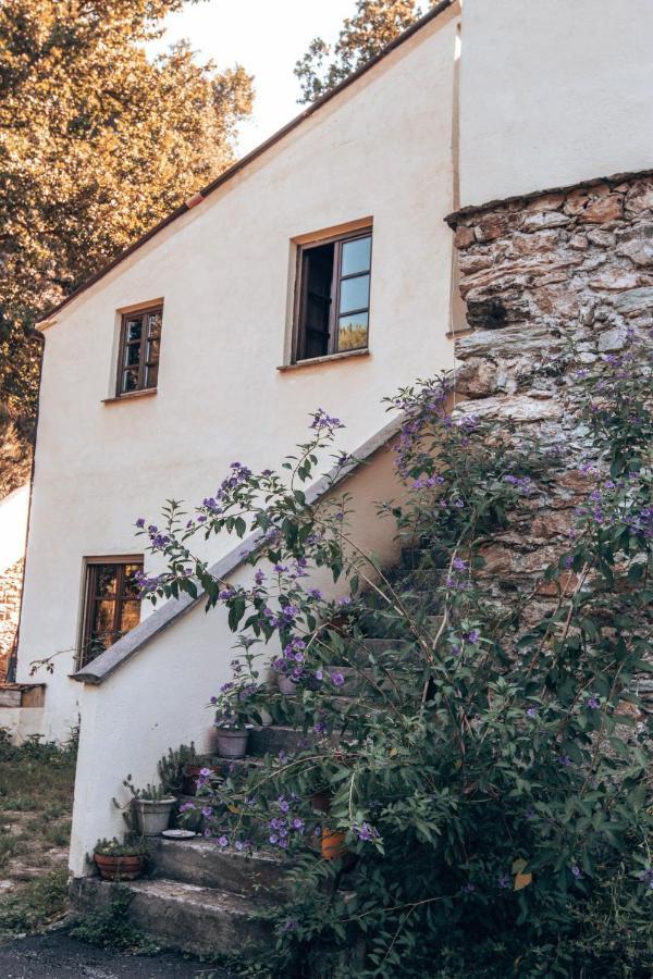Le Petit Chateau Vezzi Portio Bagian luar foto