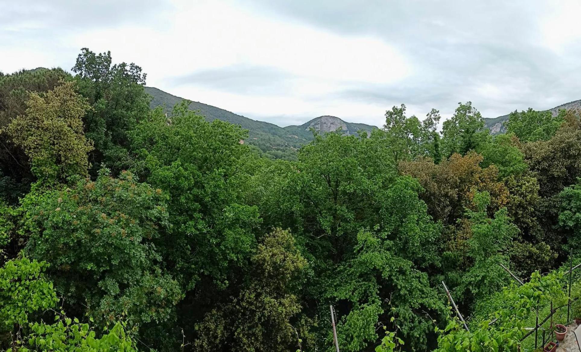 Le Petit Chateau Vezzi Portio Bagian luar foto